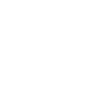 MSF