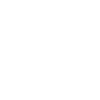 Lead Dream