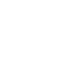 RED VINILO BRAND